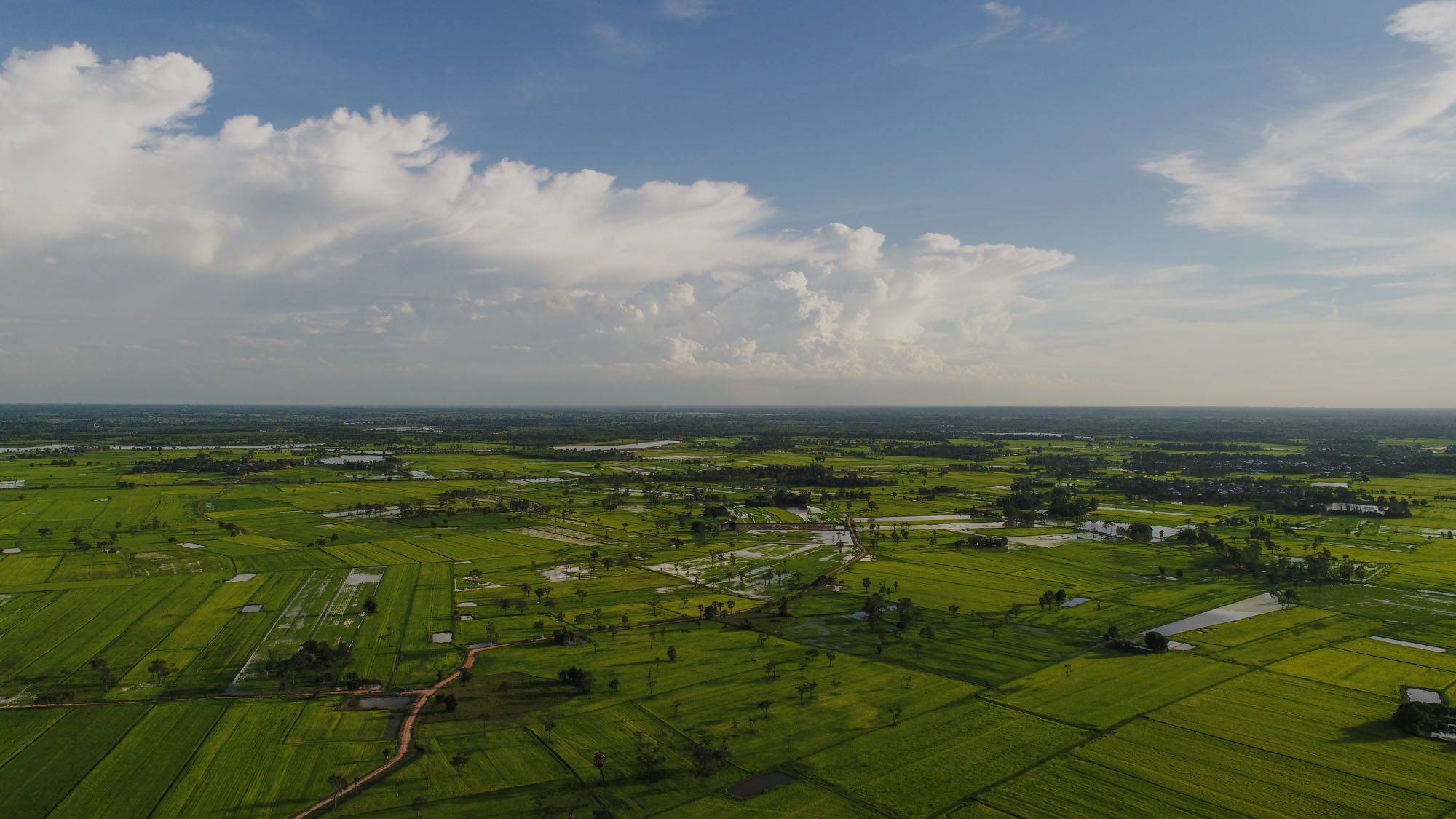 Premium Agricultural Land in Mysore