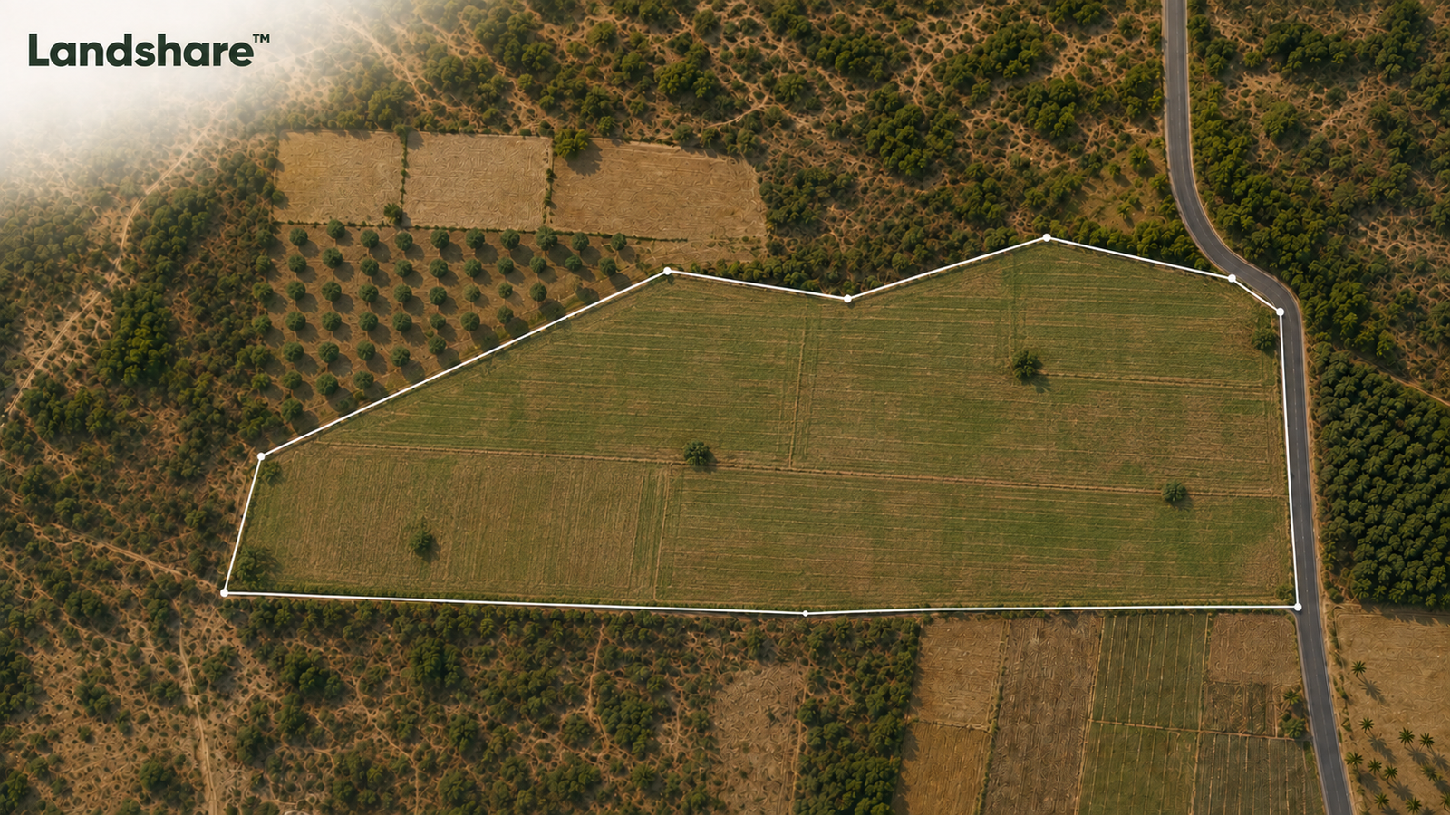 Agricultural land in Lepakshi
